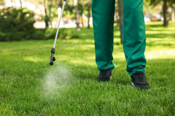 Trusted Rosemont, CA Pest Control Experts