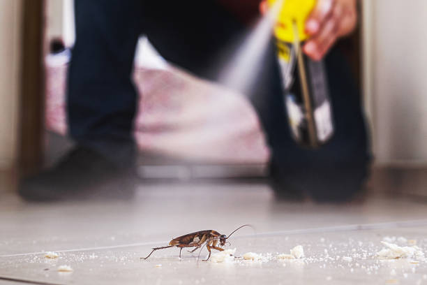 Best Emergency Pest Control  in Rosemont, CA