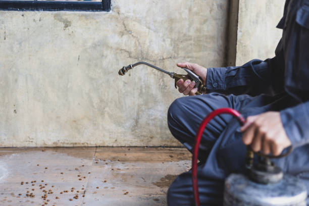 Best Affordable Pest Control Services  in Rosemont, CA